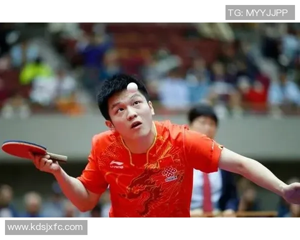 赵强专访：回顾乒乓球历程