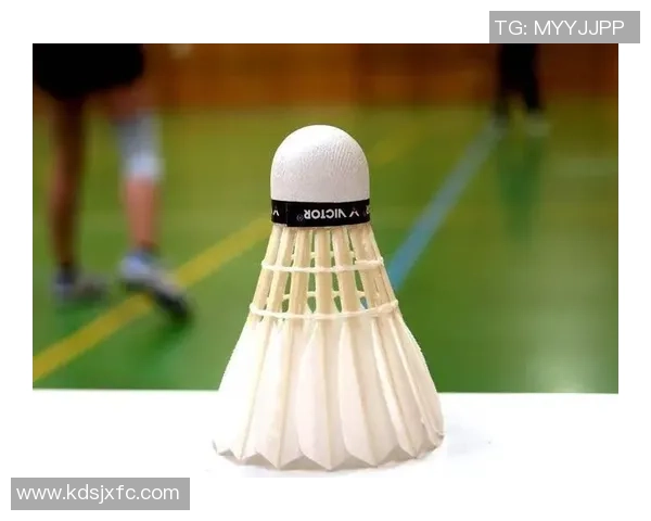 羽毛球热点：解读西安羽毛球队的包夹